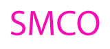 Stone Mountain Chapter of Las Amigas, Incorporated logo